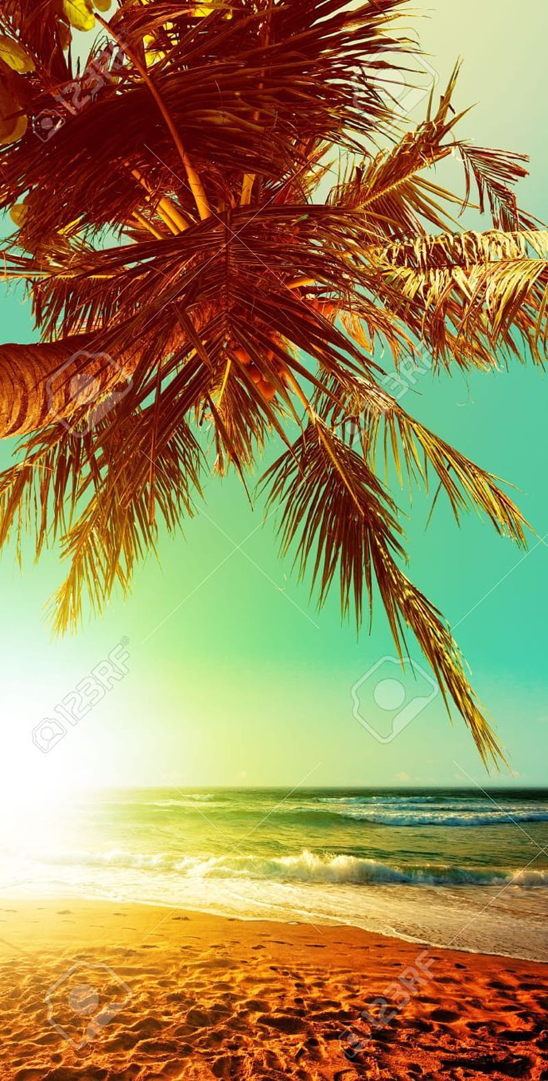 Tropical beach at sunset time. Vertical panoramic composition. Stock - 19595409. Beach phone , iphone summer, Beach background, Spring Beach, HD phone wallpaper