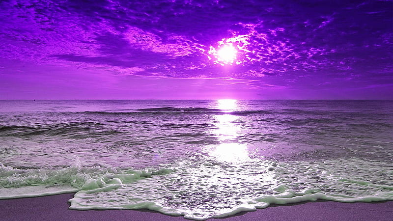 Beach During Purple Sunrise Purple, HD wallpaper