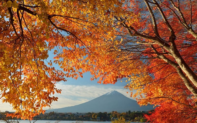 Mt. Fuji, mountain, autumn, japan, japanese, scenery, fuji, HD wallpaper