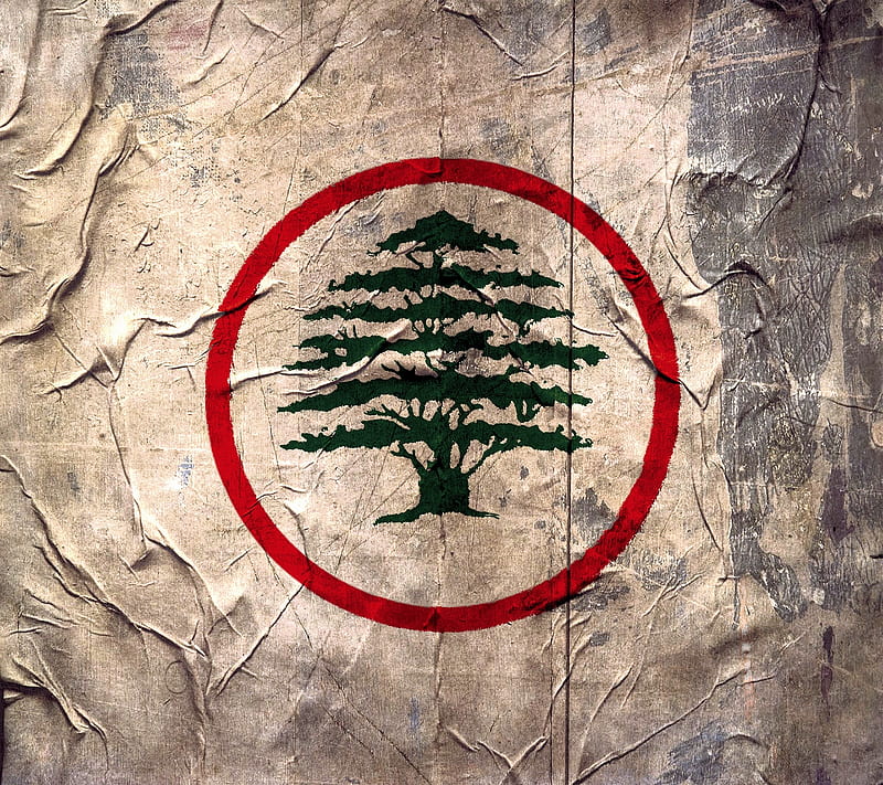 Lebanese Forces 2, cedar, lebanese, HD wallpaper