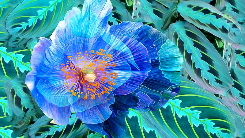Floral Art, art, flowers, abstract, blue, HD wallpaper | Peakpx