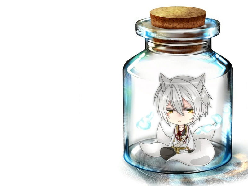 White Fox in the Jar, hiiro no kakera, male, guy, kitsune, bottle, tail,  ears, HD wallpaper | Peakpx