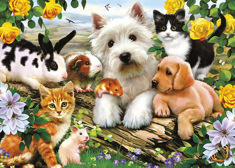 ANIMAL FRIENDS, rabbit, hamster, mouse, cat, dog, HD wallpaper