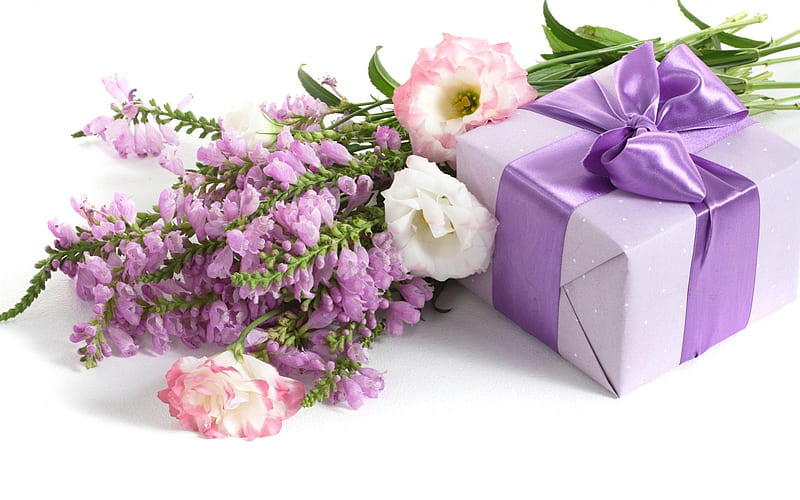 Lovely gift, lovely, ribbon, box, bonito, gift, delicate, tenderness, purple, bright colors, flowers, beauty, nature, petals, HD wallpaper