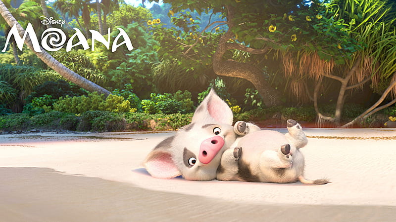 Moana Disney Domestic Pig Pua Cartoon, HD wallpaper