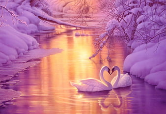 Two white Swans facing each other HD wallpaper | Wallpaper Flare
