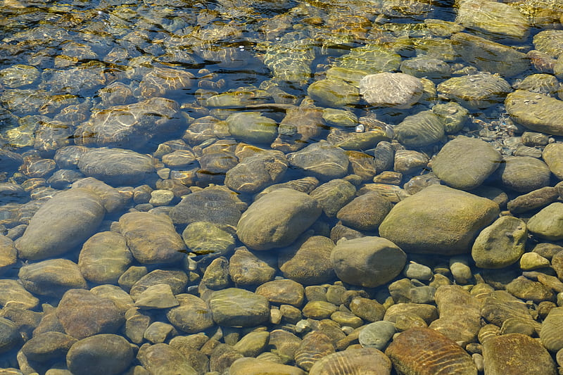 stones, water, transparent, body of water, bottom, HD wallpaper