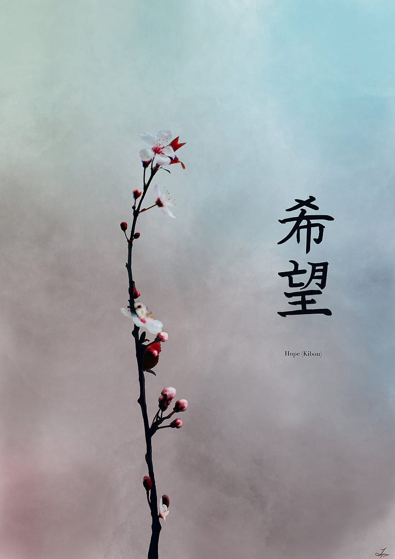 Cherry Blossom Stem With Japanese Kanji Print/ Hope DIGITAL, Samurai Cherry Blossom, HD phone wallpaper