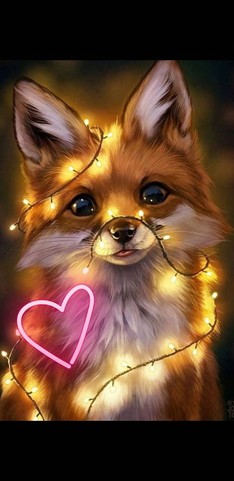 HD cute fox wallpapers | Peakpx