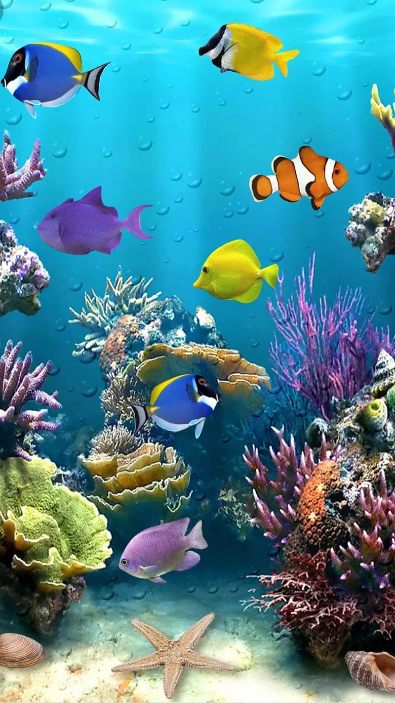 Under the ocean, aquarium, blue, bubbles, colorful, fish, ocean, plants, sea, tropical, water, HD phone wallpaper