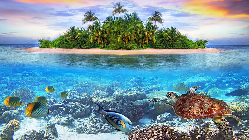 Underwater, oceans, exotic, nature, island, HD wallpaper | Peakpx