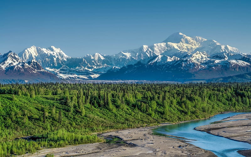 mountain landscape, forest, river, summer, Alaska Range, Denali National Park, Mount McKinley, Alaska, HD wallpaper