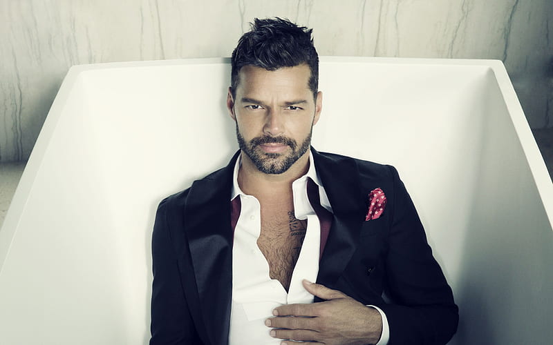 Ricky Martin, Puerto rican singer, hoot, famous singers, HD wallpaper