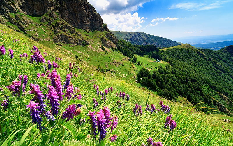 stara planina, lawn, slopes, mountains, bulgaria, HD wallpaper