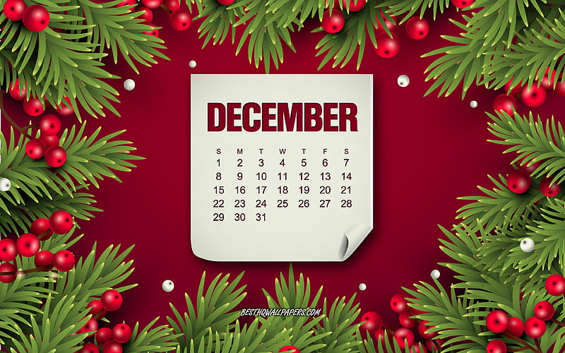 December 2019 calendar, red background with berries, Christmas tree, winter, December, 2019 calendars, HD wallpaper