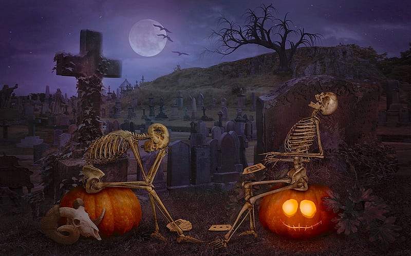Funny Halloween Skeletons, Cards, Moon, laughing, darkness, graveyard, funny, Halloween, skeletons, pumpkins, HD wallpaper