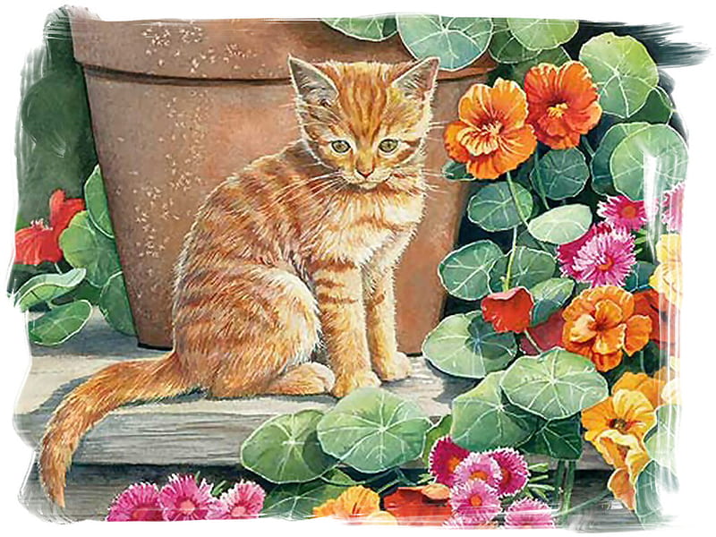 Ginger and Nasturtiums - Cat F1, art, bourdet, susan bourdet, cat, artwork, animal, pet, feline, painting, HD wallpaper