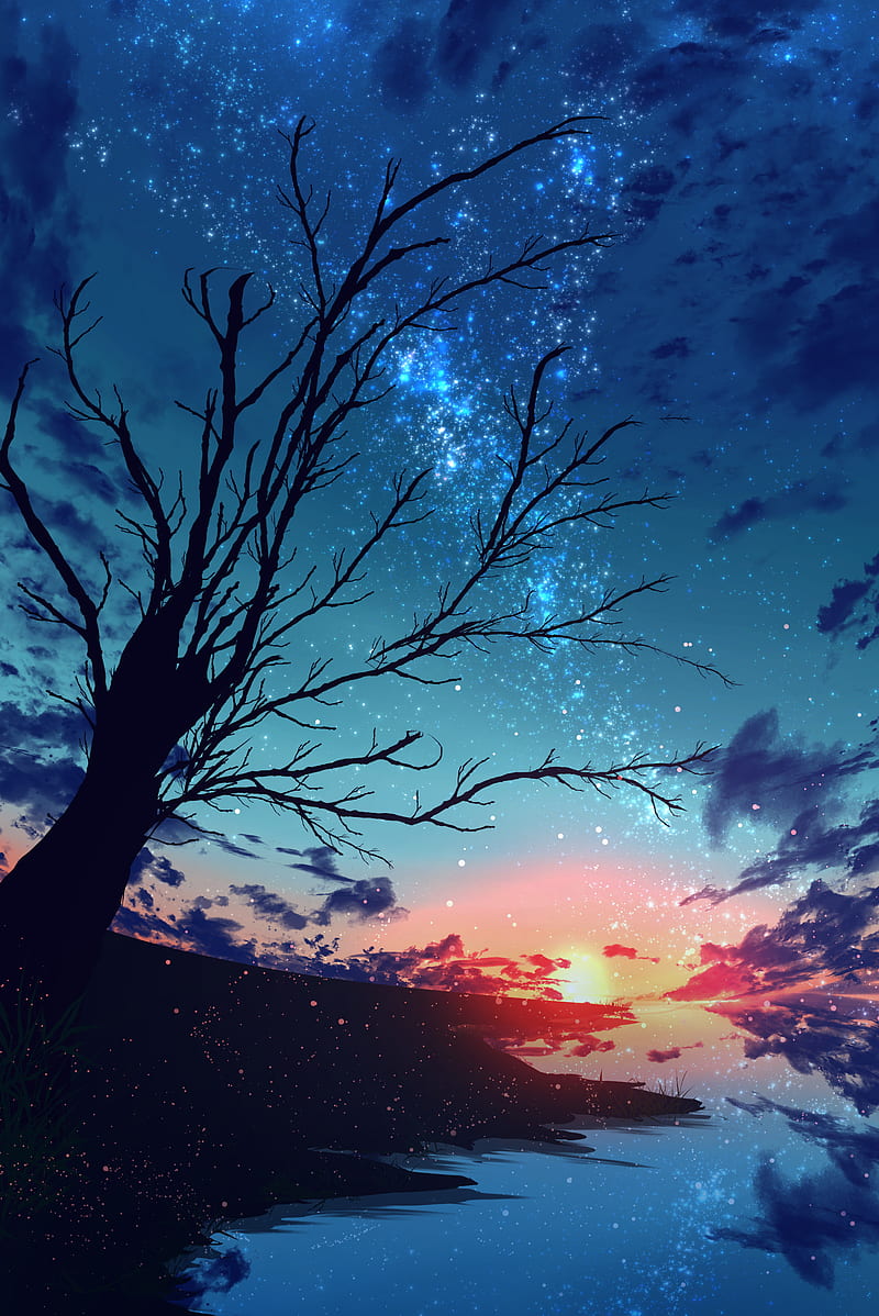 sunset, branches, tree, nebula, particles, stars, art, HD phone wallpaper