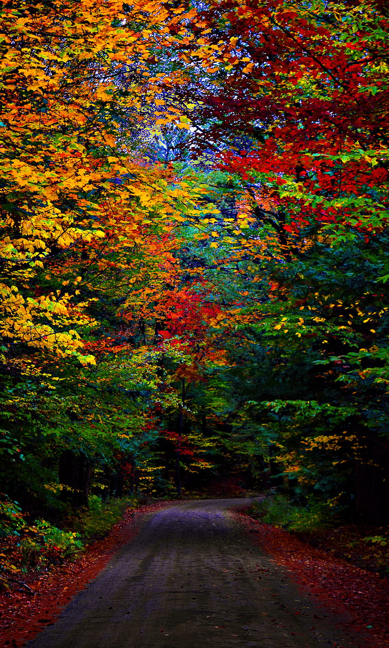 New Hampshire Fall, autumn, dirt road, new hampshire, HD phone wallpaper