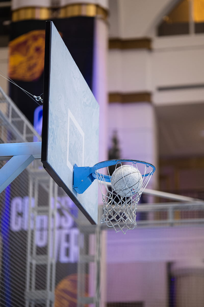 Ball, basketball, ring, net, sport, HD phone wallpaper | Peakpx