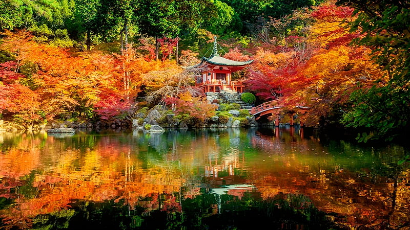 Kyoto Daigoji Temple, lake, autumn, japan, water, bridge, temple ...