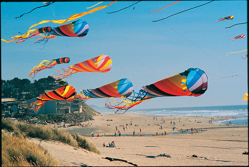 Wind Socks, color, wind, kites, HD wallpaper