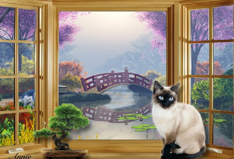 Perfect View, bonsai, window, Cats, view, Scenic, nature, bonito, HD wallpaper