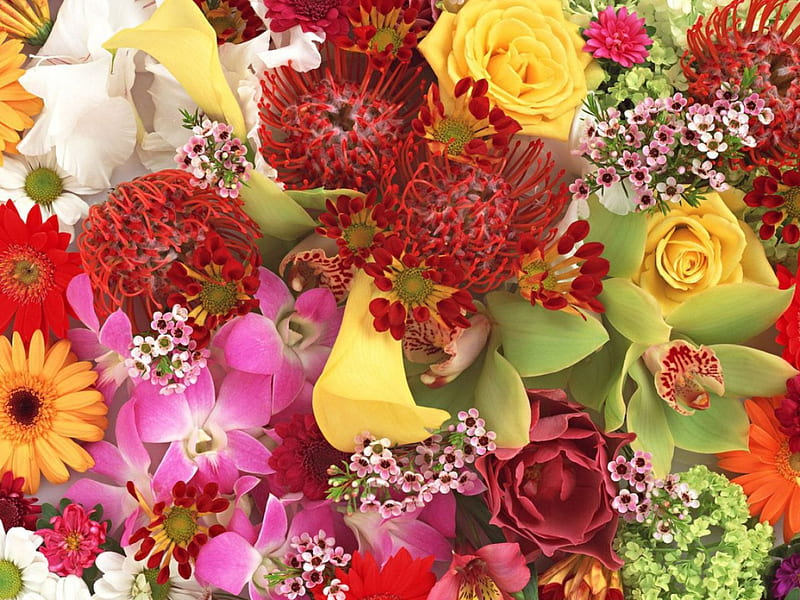 Gorgeous Bouquet, gerberas, bouquet, green orchids, flowers, nature ...