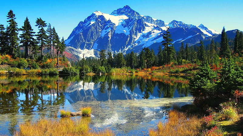 Great Mountain Lake Scenery, forest, bonito, lake, mountain, tree, water, green, snow, nature, blue, HD wallpaper
