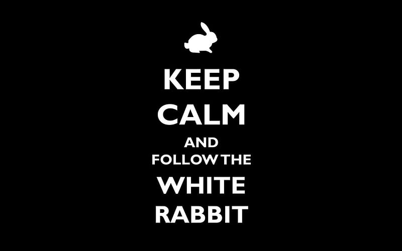 White Rabbit, follow, rabbit, words, black, keep calm, calm, texture, bunny, funny, white, HD wallpaper