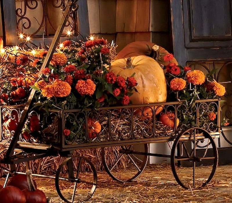 Autumn Flower Wagon, Pumpkin, Flowers, Autumn, Wagon, HD wallpaper | Peakpx