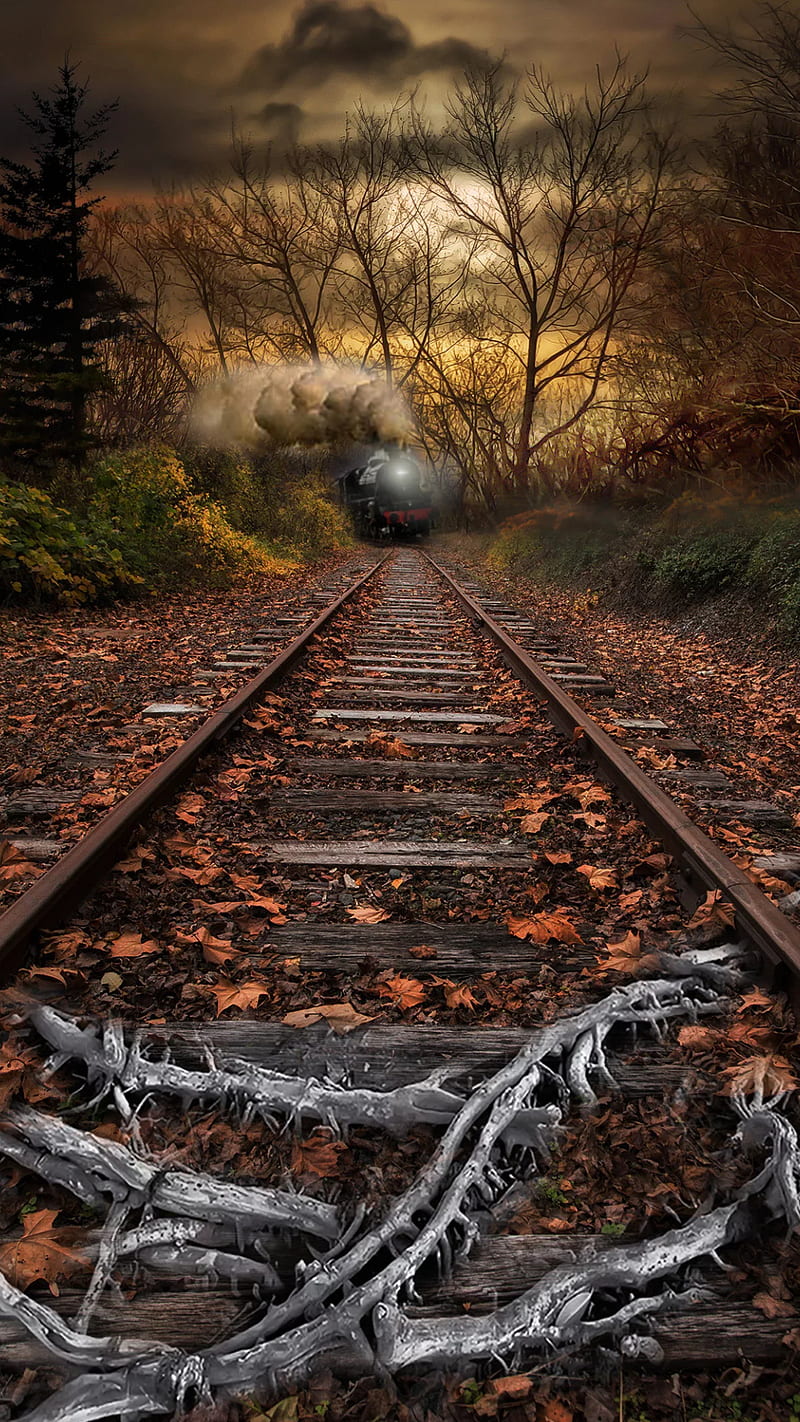 Train, nature, railway, smoke, steam, track, travel, HD phone wallpaper |  Peakpx