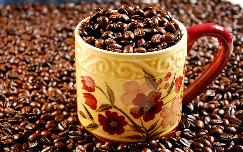 Coffe beans, cup, flowers, coffe, HD wallpaper