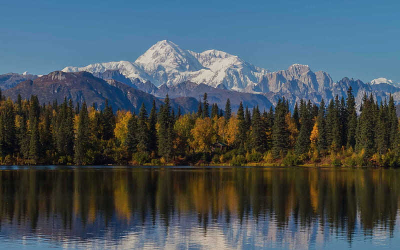 mountain landscape, forest, autumn, trees, lake, Alaska, USA, HD wallpaper