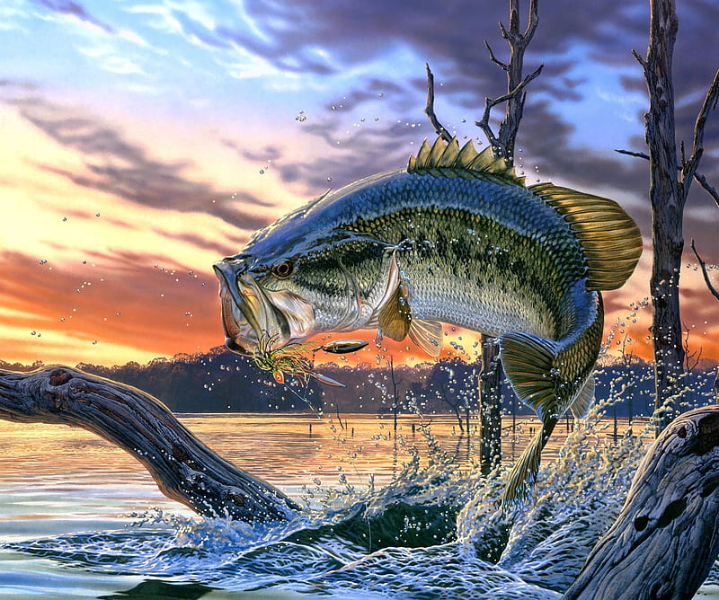 Perch, fish landscape, ocean, painting, sea, sunset, HD wallpaper