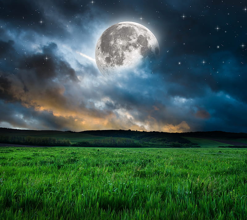 Lunar Evening, field, grass, moon, night, HD wallpaper