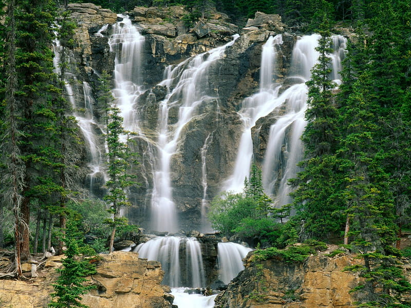 Tangle Creek Falls, Jasper National Park, Canada, brown, rock, trees, waterfalls, daylight, water, green, evergreens, day, nature, falls, canada, HD wallpaper