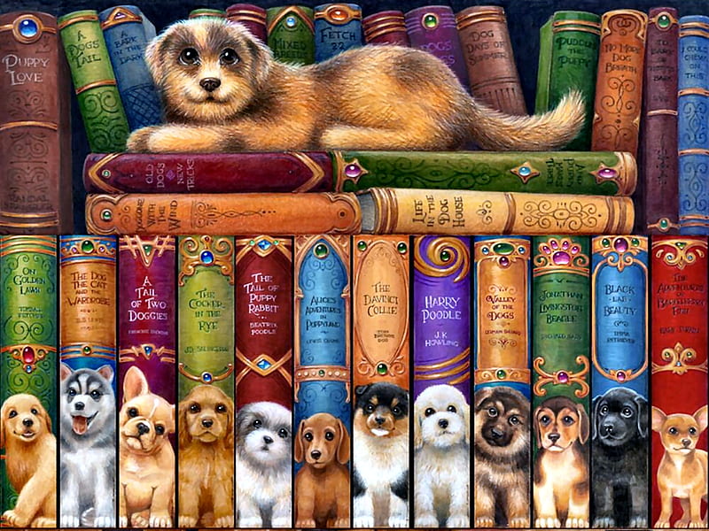 Dog Bookshelf F, art, books, bonito, pets, illustration, artwork, canine, animal, painting, wide screen, dogs, HD wallpaper