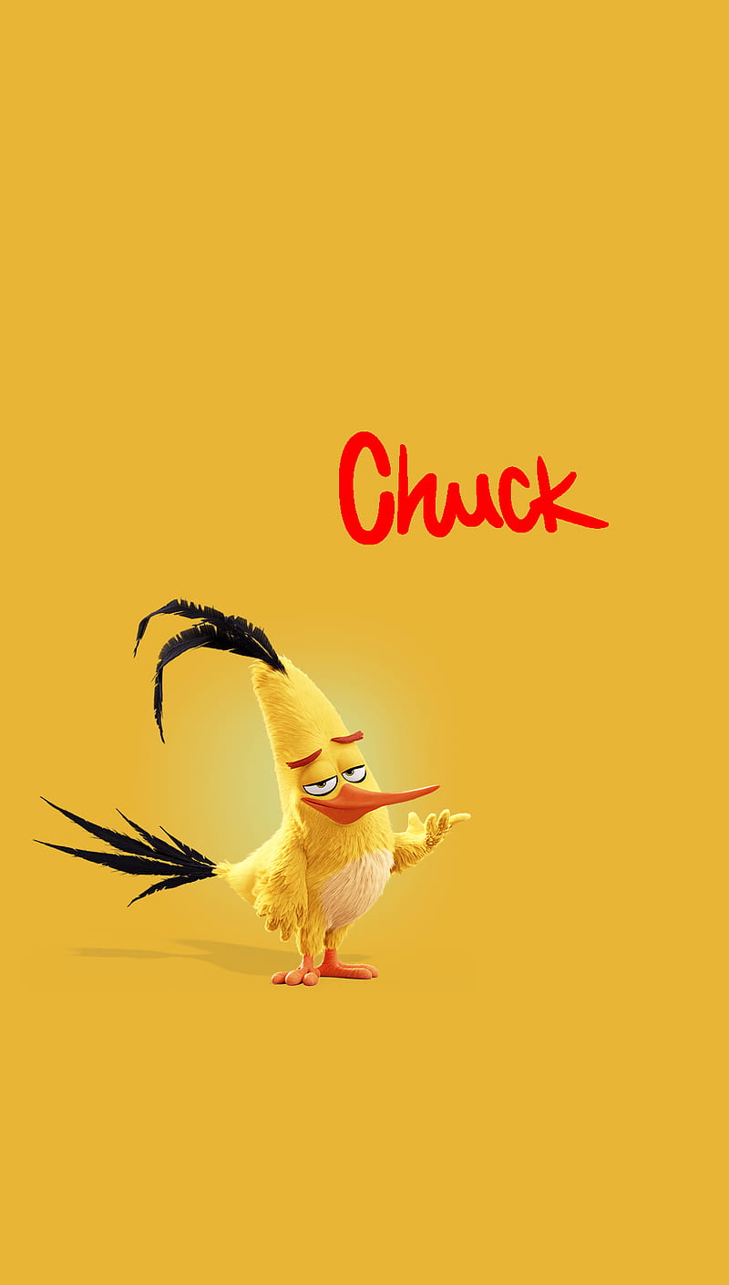 Chuck, angry birds, character, flash, movie, HD phone wallpaper
