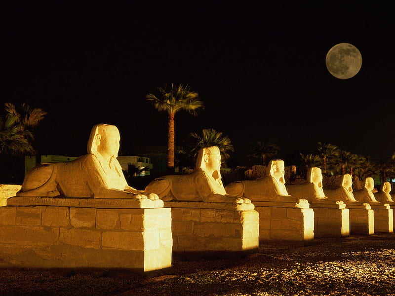 Row of Sphinx, moon, monument, ancient, statue, Egypt, Sphinx, night, HD wallpaper