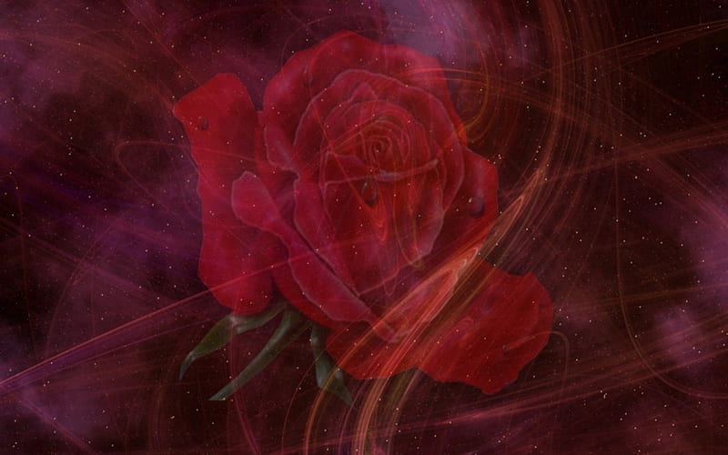 Red rose, 3d, roses, HD wallpaper | Peakpx