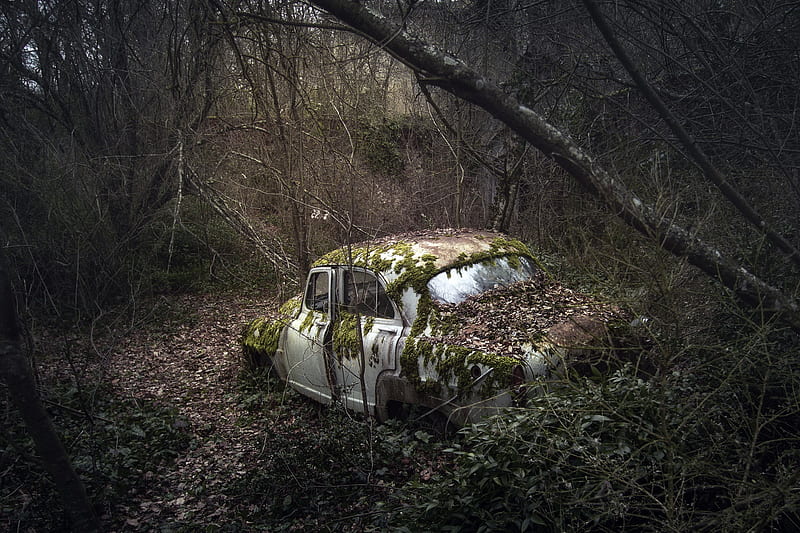 Vehicles, Wreck, Abandoned, Car, Moss, HD wallpaper