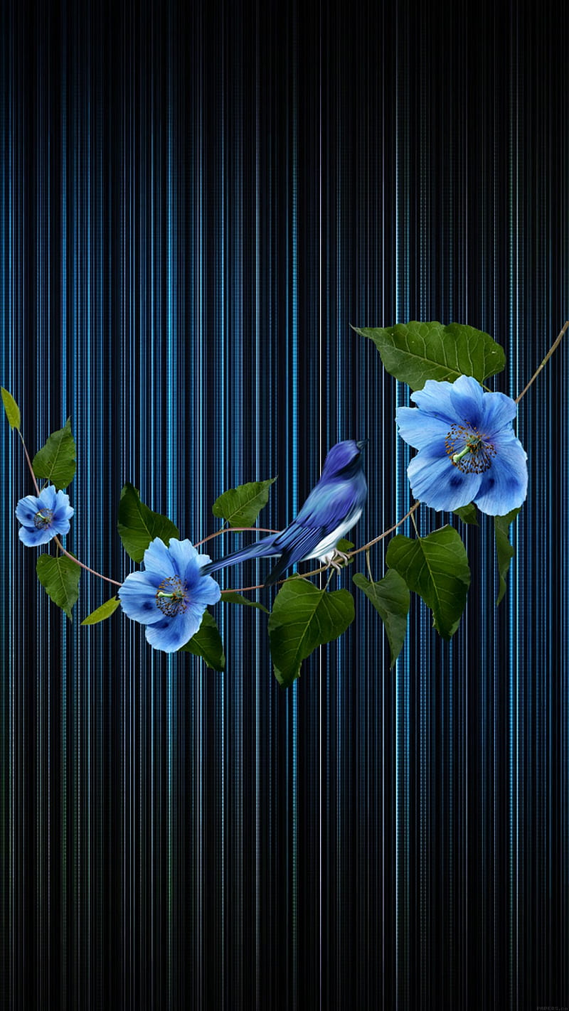 blue bird, abstract, anchel61, flowers, nature, HD phone wallpaper