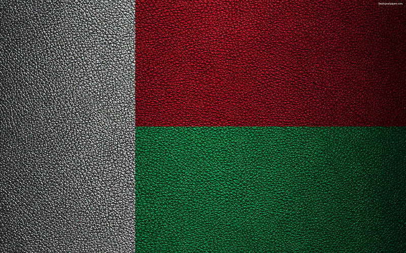 Flag of Madagascar leather texture, Africa, Madagascar flag, flags of African countries, Madagascar, HD wallpaper