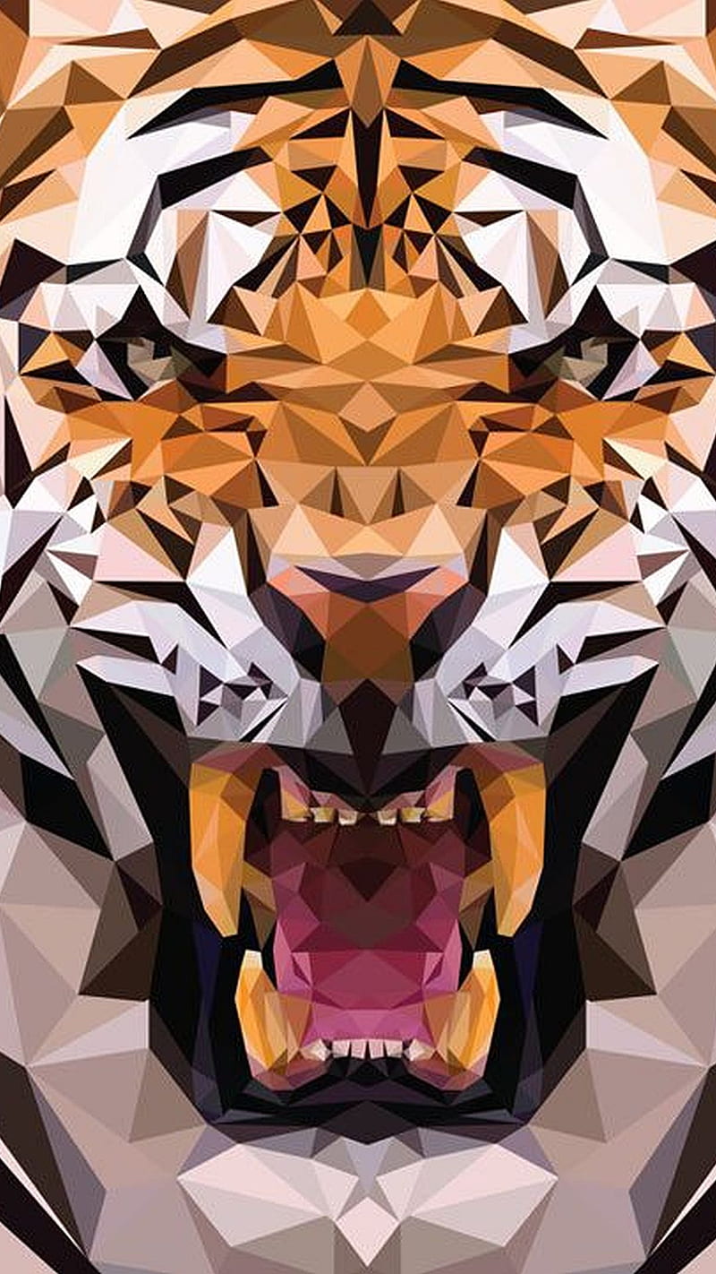 Triangle Tiger, HD phone wallpaper