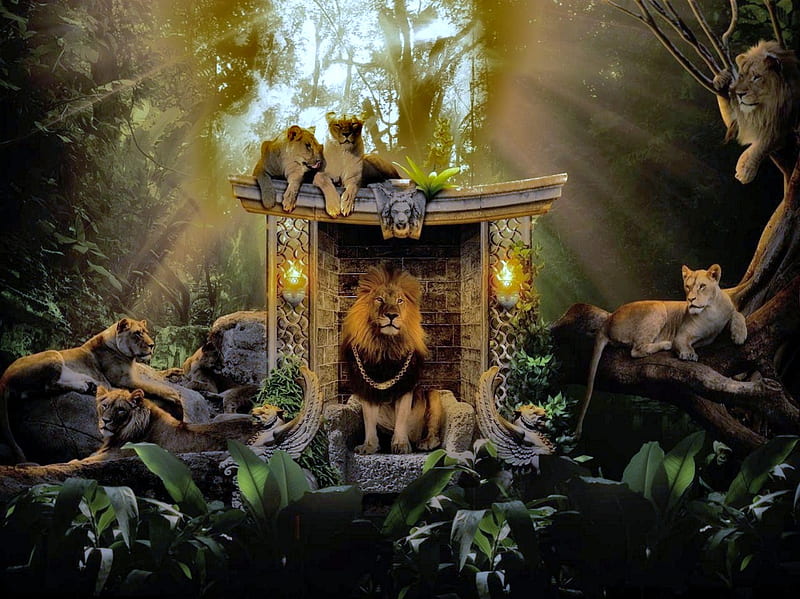 The King and his subjects, king, lanterns, royal hut, lionesses, trees, lion, medallion around neck, big, jungle, plaque, vines, cats, light, HD wallpaper