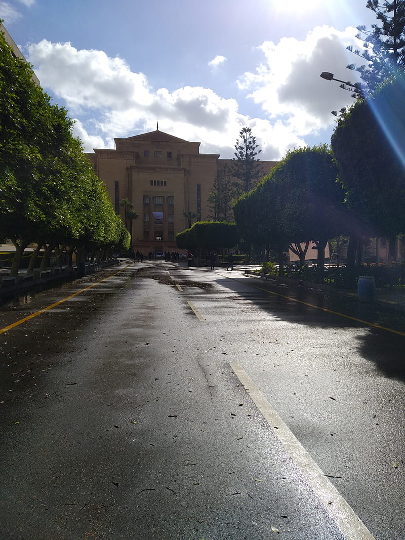 Engineering street, faculty of engineering, building, alone, rain, sky, old building, alexandria, HD phone wallpaper