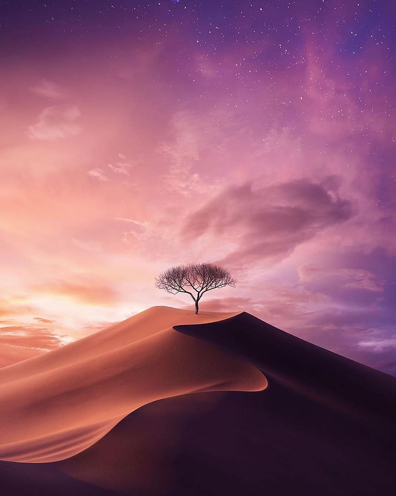 nature, blue, cor, deep, deserto, monte, roxo, HD phone wallpaper