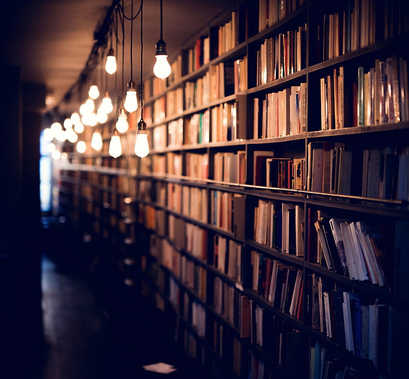 books, library, shelves, lighting, HD wallpaper