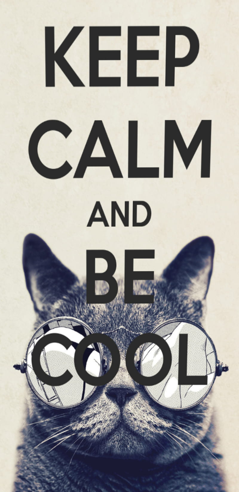 Keepcalmbecool, calm, cat, cool, glasses, hippy, keep, memes, round, steampunk, HD phone wallpaper